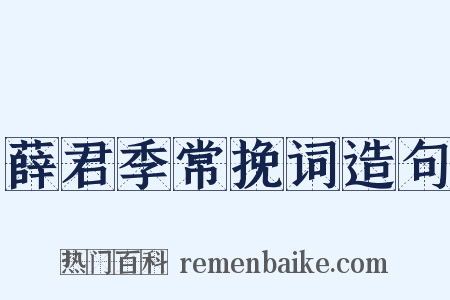 薛君季常挽词造句是什么意思的图片